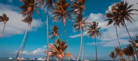 Santo Domingo Dr J Balaguer : Privatjet mieten