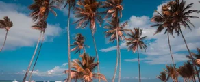 Punta Cana: Privatjet mieten