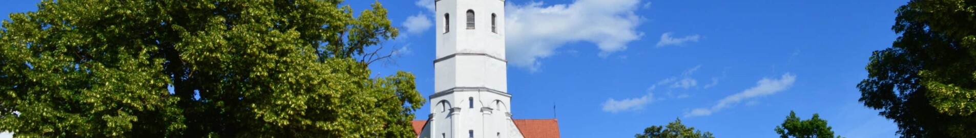 Siauliai: Privatjet mieten 