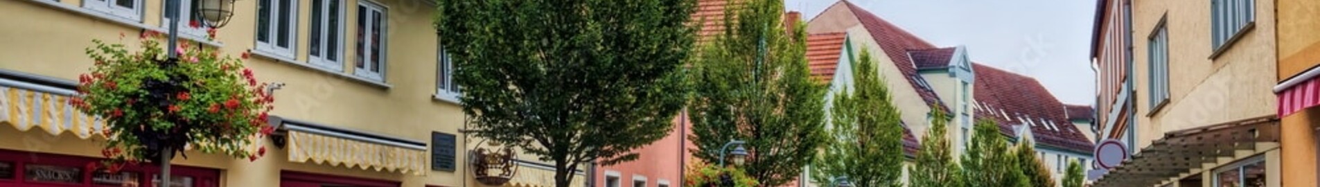Sommerda: Privatjet mieten 