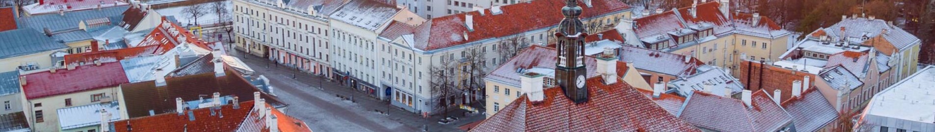 Tartu: Mieten eines Privatjets 