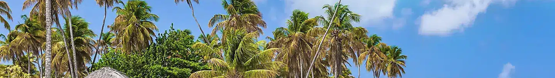 Mieten Sie einen Privatjet von/nach Tobago Scarborough Crown Point