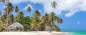 Tobago Scarborough Crown Point : Mieten eines Privatjets 