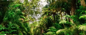 Trinidad & Tobago : Privatjet mieten