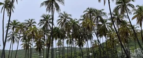 Union Island : Private Jet Charter