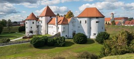 Mieten Sie einen Privatjet von/nach Pula