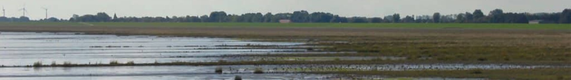 Wilhelmshaven Mariensiel: Privatjet mieten 