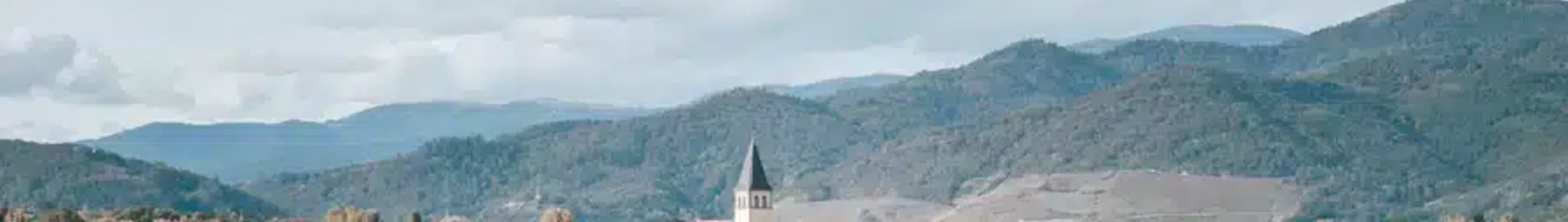 Schneiden