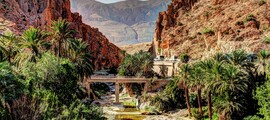 Mieten Sie einen Privatjet von/nach Sidi Bel Abbes