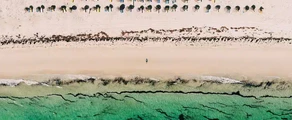 Djerba Zarzis: Privatjet mieten