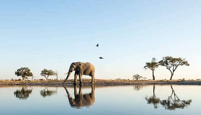 Luftfracht nach Afrika mit AEROAFFAIRES