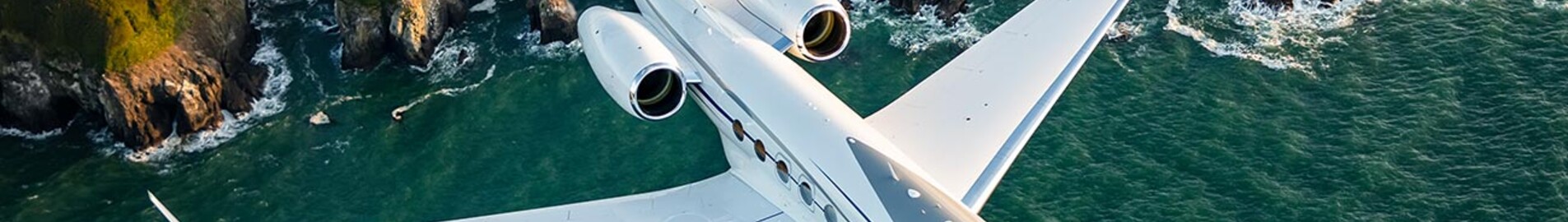 Die Privatjets von Elon Musk