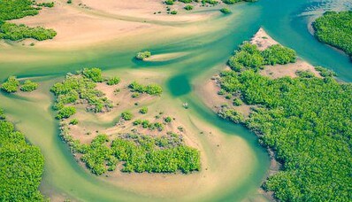 Gesundheitliche Rückführung zwischen Senegal und Frankreich: der Leitfaden