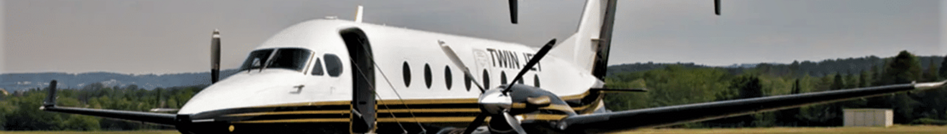Twin Jet : Fluggesellschaft