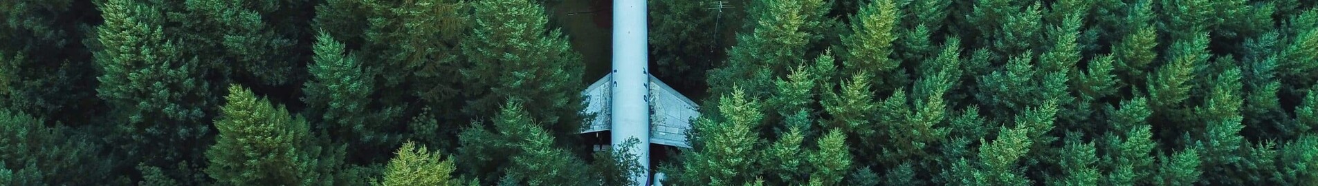Biokraftstoffe (FAS): Die Zukunft der Geschäftsluftfahrt?