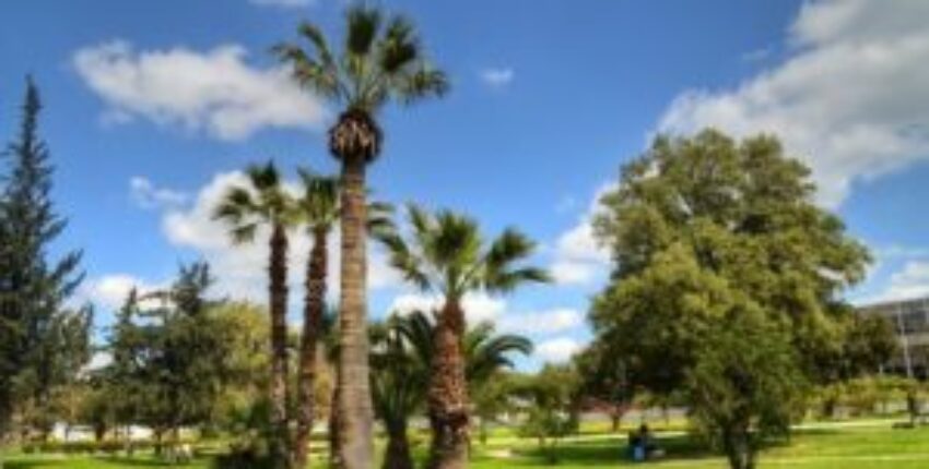 Jet privé avec Tunis-Karthago, parc ensoleillé avec arbres.