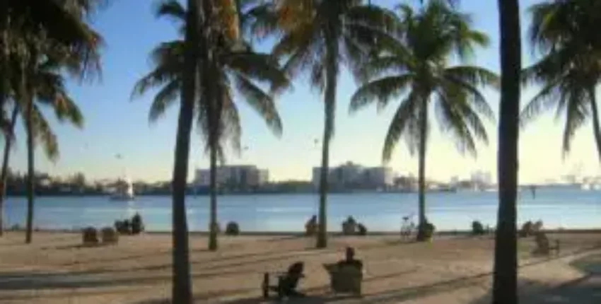 location de jet privé – Miami plage paisible avec palmiers