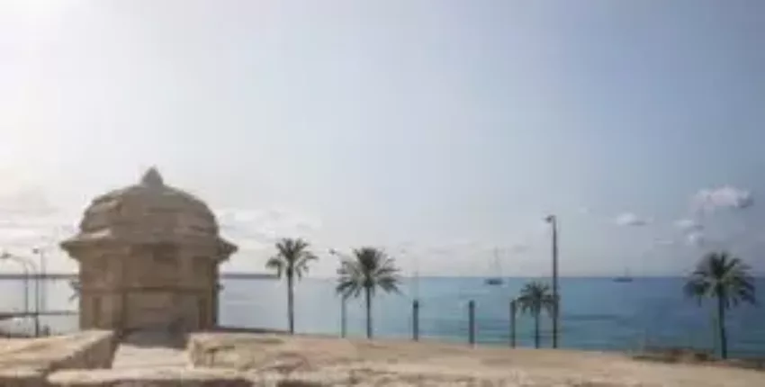 Tour de guet de Palma de Majorque, vue mer, palmiers, bateaux.