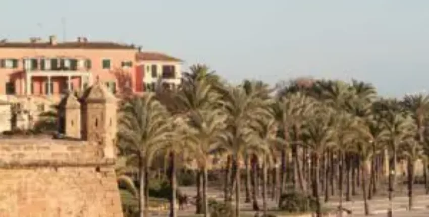 Privatjet miten: Scène côtière à Palma de Majorque