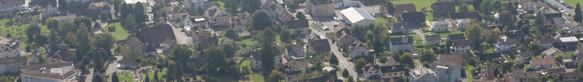 Privatjet in Triengen mieten 
