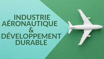 Die Herausforderungen der Luftfahrtindustrie angesichts der nachhaltigen Entwicklung