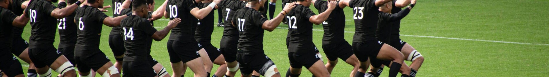 Rugby-Weltmeisterschaft 2023: Fliegen Sie im Privatjet.