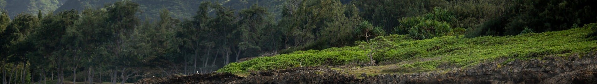Hawaii: Privatjet und Helikopter mieten
