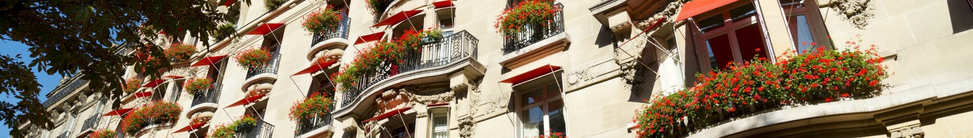 Luxushotel in Paris: Ein Traumaufenthalt im Hotel Plaza Athénée