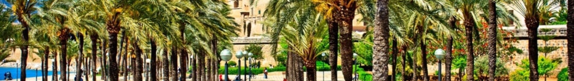 Barcelona - Palma de Mallorca : privatjet mieten
