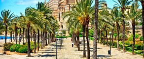 Neapel - Palma de Mallorca : privatjet mieten