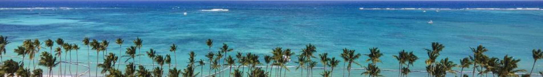 Palm Beach : privatjet mieten