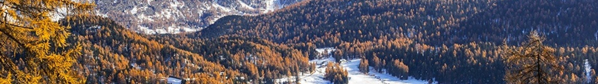 Saint-Tropez - Saint-Moritz Samedan : privatjet mieten