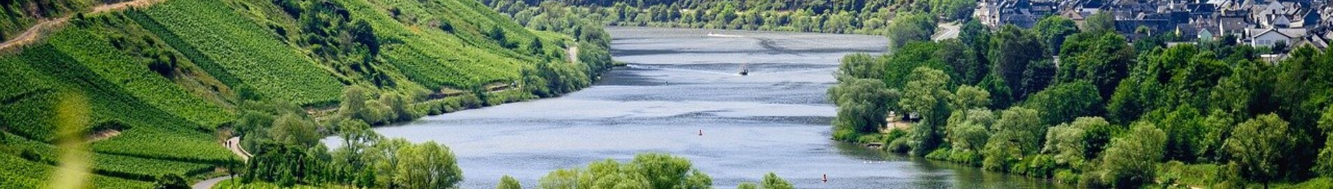 Europäische Weingüter, die man im Privatjet besuchen kann