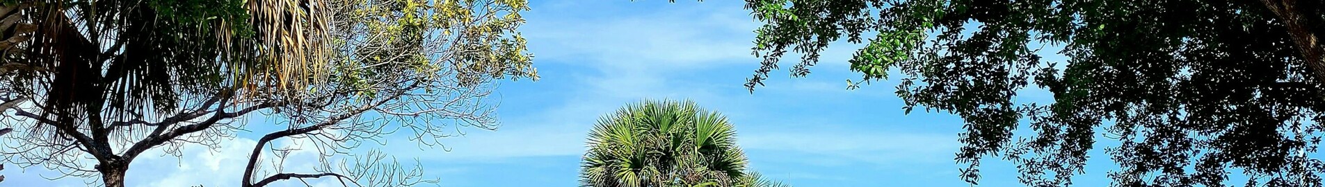 Los Angeles - Tampa: Privatjet mieten