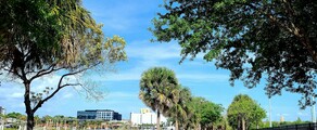 Los Angeles - Tampa: Privatjet mieten