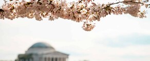 Las Vegas - Washington DC: Privatjet mieten