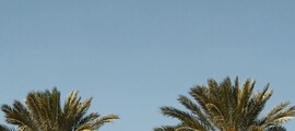 Houston - Chicago: Privatjet mieten