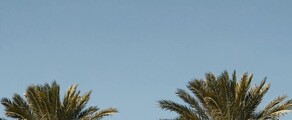 Houston - Orlando: Privatjet mieten