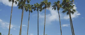 New York - Tampa: Privatjet mieten