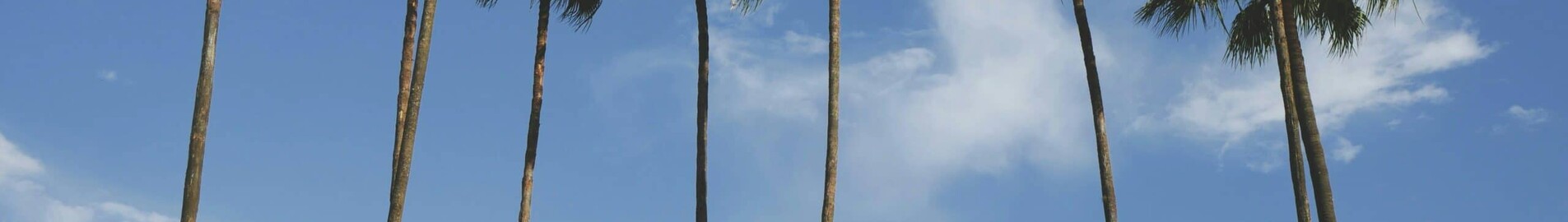 Los Angeles - Orlando: Privatjet mieten