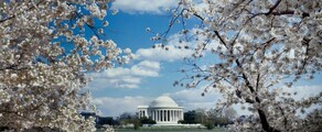 Los Angeles - Washington DC: Privatjet mieten