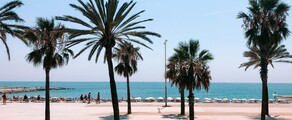 Frankfurt - Barcelona: Privatjet mieten