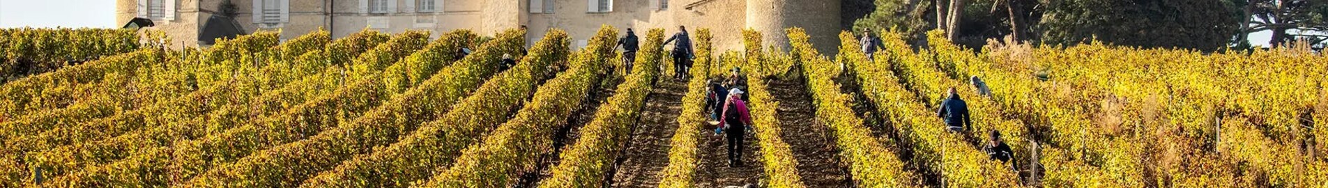Weinberge von Bordeaux: Erlebnis im Helikopter