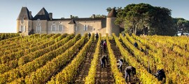 Hubschrauberrundflug über die großen Weinberge Italiens