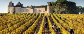 Weinberge von Bordeaux: Erlebnis im Helikopter
